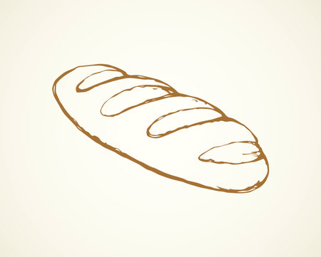 Big fresh soft tasty yeast striped roll Baton on light kitchen background. Freehand line dark brown ink hand drawn shop picture logo emblem in retro art doodle style pen on paper with space for textのイラスト素材