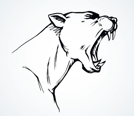 Strong big furious pride cruel crazy killer hunter fleer white text space. Line black ink hand drawn zoo beast smirk logo pictogram emblem design in retro engrave art doodle print style. Close up viewのイラスト素材