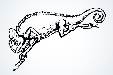 Big old domestic chamaeleon Lacertilia pattern tail on white paper text space. Outline black ink hand drawn zoo claw disguise   pictogram emblem design. Retro art doodle print style. Close up viewのイラスト素材