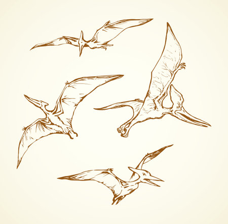 Primeval fauna, Cretaceous Period. Huge zhenyuanopterus theropod. Linear black ink hand drawn picture sign sketch in art doodle retro style pen on paper. Closeup view and space for text on white skyのイラスト素材