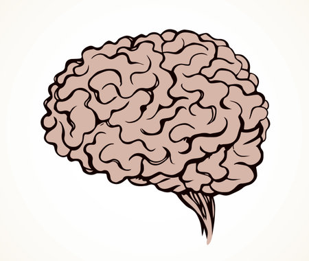 大脳皮質の写真 イラスト素材一覧 3 180件 ストックフォトのamanaimages Plus