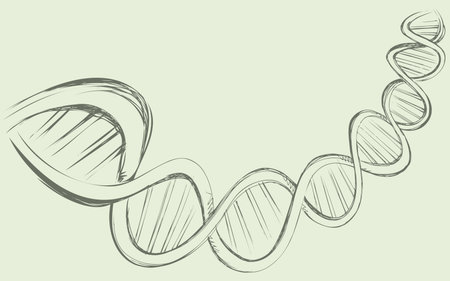 DNA chain in develop, functioning and reproduction of living organisms and many viruses. Vector freehand ink drawn backdrop sketch in art doodle style pen on paper. View close-up with space for textのイラスト素材