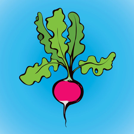 Tasty ripe juicy raw fresh sappy pink raphanus isolated on blue backdrop. Freehand vivid color hand drawn symbol sign sketchy in retro art scribble style. Closeup view with space for textのイラスト素材