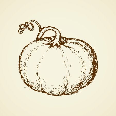 Tasty raw ripe fresh sappy melon fruitage isolated on white backdrop. Freehand linear black ink hand drawn picture sign sketchy in art scribble style pen on paper. View closeup and space for textのイラスト素材