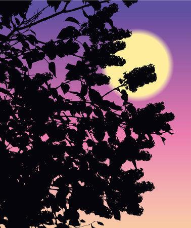 Lush lilac branches emit a wonderful aroma of a warm spring evening at sunsetのイラスト素材