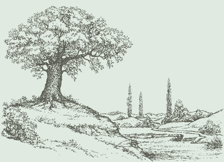 Vector landscape. Mighty oak tree grows on top of a hill above the river valleyのイラスト素材