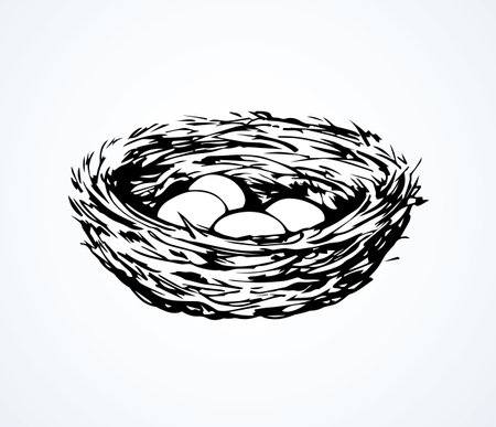 New twig woven eco birdnest on white backdrop. Line black ink hand drawn birdie embryo food object   emblem sketchy in retro art doodle style pen on paper space for text. Closeup outline april viewのイラスト素材