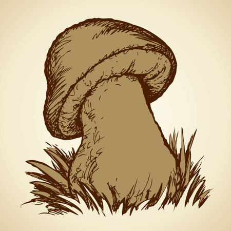 Appetizing big Cep in green grass on a glade in the autumn forest. Vector monochrome freehand black on white ink drawn backdrop sketch in art antique scrawl style pen on paper. View close-up with space for textのイラスト素材