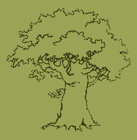 Vector picture. Old oak with a green crownのイラスト素材