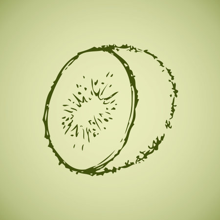Tasty raw tropical Chinese gooseberry Actinidia fruitful isolated on white backdrop. Freehand outline ink hand drawn picture sketchy in art doodle style pen on paper. View closeup with space for textのイラスト素材