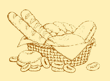 Vector still life. Sketch basket of fresh pastries: baguettes, rolls, bread, bagels, donutsのイラスト素材