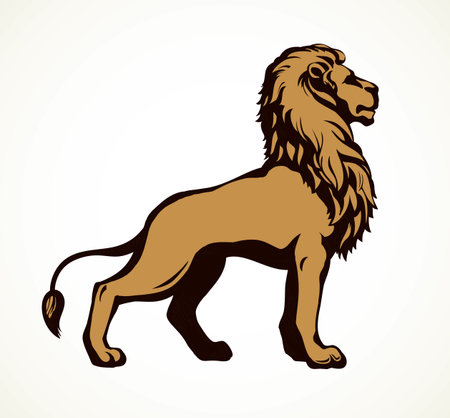 Beautiful big african proud powerful nobility big leo standing and fierce looking for prey. Bright brown color hand drawn   emblem pictogram in art outline style on paper space for text. Side viewのイラスト素材