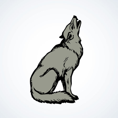 Furry gray canidae lagopus lupus stand on light sky backdrop. Freehand line black ink hand drawn...