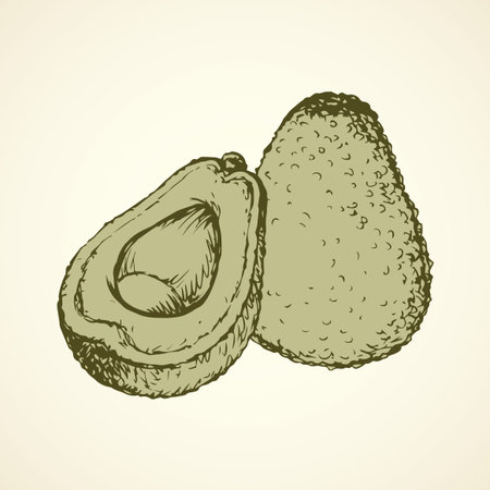 Avocado illustration background.のイラスト素材