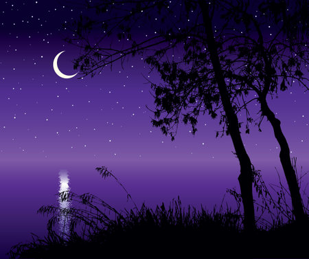 Romantic outdoor eco fall hill scenic view white crescent text space backdrop. Hand drawn old lush bare dry beech bush shrub grove thicket starry pond scene retro art print purple moonlight styleのイラスト素材