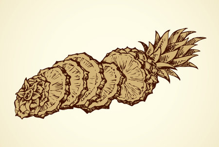 Yummy sappy pinapple comosus fruitful isolated on white backdrop. Freehand outline black ink hand drawn picture logo sketchy in retro art scribble style pen on paper. Closeup view with space for textのイラスト素材