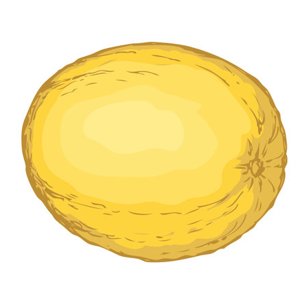 Tasty raw fresh sappy musk galia casaba fruitful light color isolated on white backdrop. Freehand colorful hand drawn picture sketchy in art doodle style. View closeup with space for textのイラスト素材