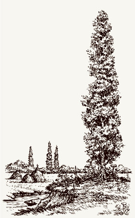 Trail to high aspen scene on light overcast backdrop. Freehand line black ink hand drawn picture sketchy in retro painting artistic etched print style pen on paper text space. Summertime scenery viewのイラスト素材