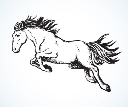 Gorgeous pride white courser smartly rear up on ranch race paddock. Freehand outline black ink pen hand drawn andalusian ride beast logo emblem pictogram design. Art doodle retro paper cartoon styleのイラスト素材