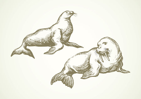 Big fat sealion creature on cold frozen winter backdrop. Dark gray outline ink hand drawn cute fun zoo circus pet logo pictogram emblem sketchy in retro art doodle etch style on paper space for textのイラスト素材