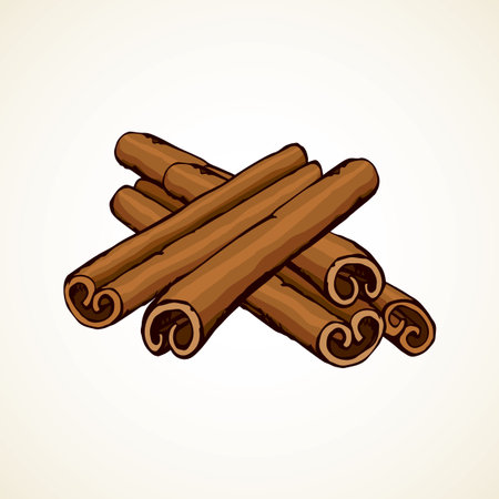 Asian cannelle fresh rolled pod bunch on white backdrop. Bright brown hand drawn picture logo sketchy in retro art scribble graphic style pen on paper. Closeup macro view with space for textのイラスト素材