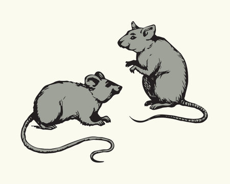 Furry Rattus on light backdrop. Freehand dark ink hand drawn logo emblem pictogram sketchy in retro scribble style pen on paper. View closeup with space for textのイラスト素材