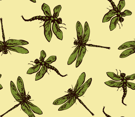 Big cute green anisoptera on light backdrop. Freehand dark gray ink hand drawn logo pictogram design sketchy in retro artistic doodle contour etching style pen on paper. Close up detail viewのイラスト素材