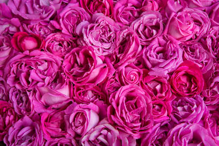 Old retro art soft fall light pastel purple color aroma pile text copy space. Beauty delicate rustic festiv bright lush spring bud plant bunch symbol decor greet day gift card close up top view bannerの写真素材