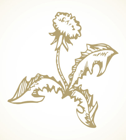 Ecology organic fresh prime seed bouquet decor set on light paper text space backdrop.のイラスト素材