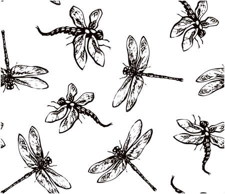 Big cute anisoptera on light backdrop. Freehand dark gray ink hand drawn  pictogram design sketchy in retro artistic doodle contour etching style pen on paper. close up detail viewのイラスト素材