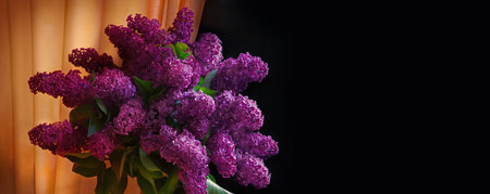Close up macro view old big bud may day green wood plant park text space wed greet card. Beauty home...