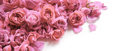 Old retro art soft fall light pastel cream color aroma pile text copy space. Beauty delicate rustic festive bright lush spring bud plant bunch symbol decor greet day gift card close up top view bannerの写真素材