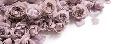 Old retro art soft fall light pastel cream color aroma pile text copy space. Beauty delicate rustic festive bright lush spring bud plant bunch symbol decor greet day gift card close up top view bannerの写真素材