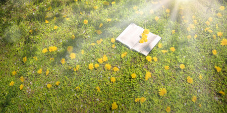 Grunge rustic retro antique biblic story tale note work scenic view space. Holy God joy happy islam culture literary lie bright day sun light floral plant bloom symbol rest art still lif concept sceneの写真素材