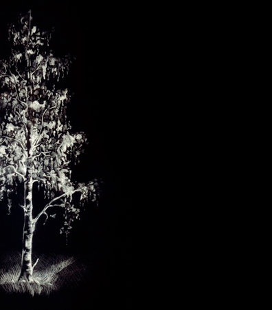 Old tall Birchtree stem bush copse spring lawn floral field card text space scene view. Dark gray charcoal pen strok line shadow eco design doodle antique retro style light yellow sky pattern backdropの写真素材