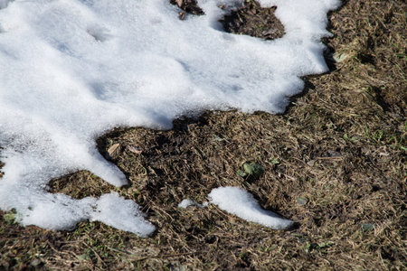 Bad wild muddy icy messy warm soft sun day hard rough cool chill rain water stalk life scene. Close up macro top rustic country view text space dark clay bog soil off yard trail track road way traceの写真素材