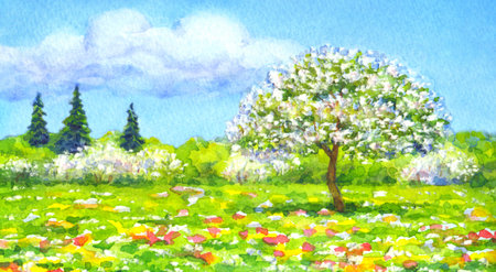 Colorful beautiful bright watercolor on paper backdrop with space for text. Series "Different seasons". White cumulus in blue heaven over valley with lush tree, wildflowers and firs on horizon forestの写真素材