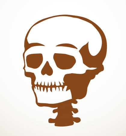 Closeup front view old natur craniu noggin hole part spine care scan x ray life death logo set Hand drawn line xray dead spinal column injury ill pain exam vintage abstract outline art cartoon conceptのイラスト素材