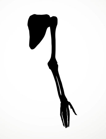 Back view old woman sick torso spine part injury carpal wrist ache hospital surgery care therap scan x ray white logo. Black drawn femal injur thumb medic xray ill elbow ulna pain exam line sketch artのイラスト素材