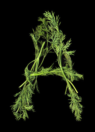 Vegetable Alphabet of dill sprigs isolated on black backgroundの写真素材