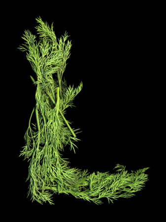 Vegetable Alphabet of dill sprigs isolated on black backgroundの写真素材