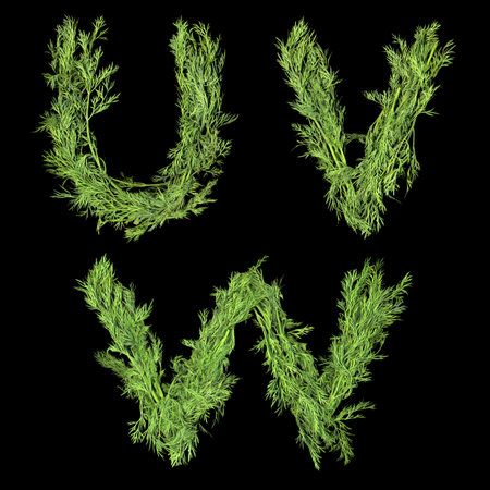 Vegetable Alphabet of sprigs of dill isolated on a black background. Letters U, V, Wの写真素材