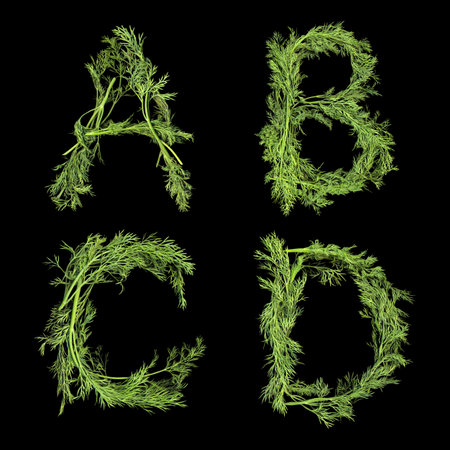 Vegetable Alphabet of sprigs of dill isolated on a black background. Letters A, B, C, Dの写真素材