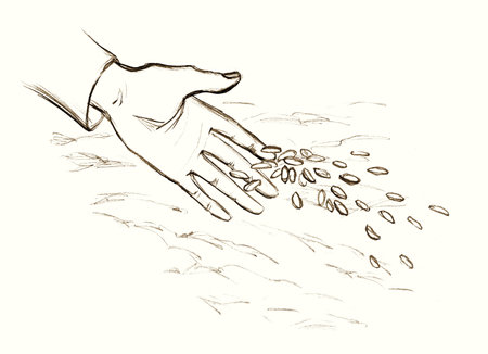 Closeup view female palm arm yield give small corn crop white sky text space Outline black pen drawn biblic pour dirt sign icon concept retro line cartoon bible god Jesus Christ story art sketch styleの写真素材