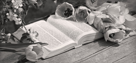 Grunge age dirty worn rough pray white desk space. God prayer holy joy happy gospel culture literary bright glow sun light love fresh apple tree plant branch red bloom bud gift art still life conceptの写真素材