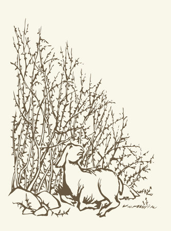 Small lone ill sick ram cub baby lay rest rustic field weed shrub tree white biblic rural sin story Black line hand drawn bible herd hurt leg pain die fear baa ask help look god care old life art iconのイラスト素材