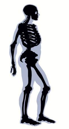 Antique health adult male figure vertebral fibula element stand white text space. Outline black drawn old face part organ object logo sign emblem sketch retro ancient art engrave print style side viewのイラスト素材