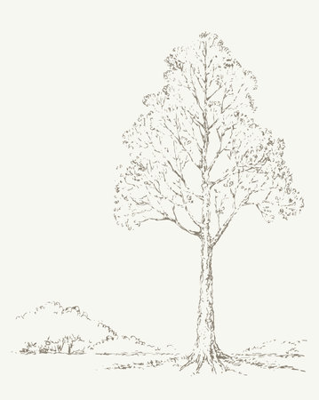 Big old birch twig scene picture view. White cloudy sky backdrop. Freehand outline dark black ink hand drawn logo pictogram icon sign design in art retro doodle abstract style pen on paper text spaceのイラスト素材
