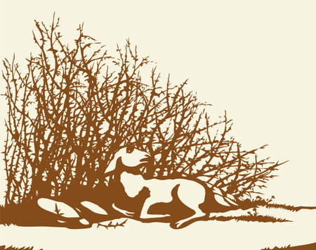 Small lone ill sick ram cub baby lay rest rustic field weed shrub tree white biblic rural sin story Black line hand drawn bible herd hurt leg pain die fear baa ask help look god care old life art iconのイラスト素材