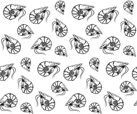 Raw fresh big red tiger leg on light paper text space. Outline black ink hand drawn tasty marine delicacy steam lunch life menu sign icon design. Art doodle retro engrave print style. Close up viewのイラスト素材